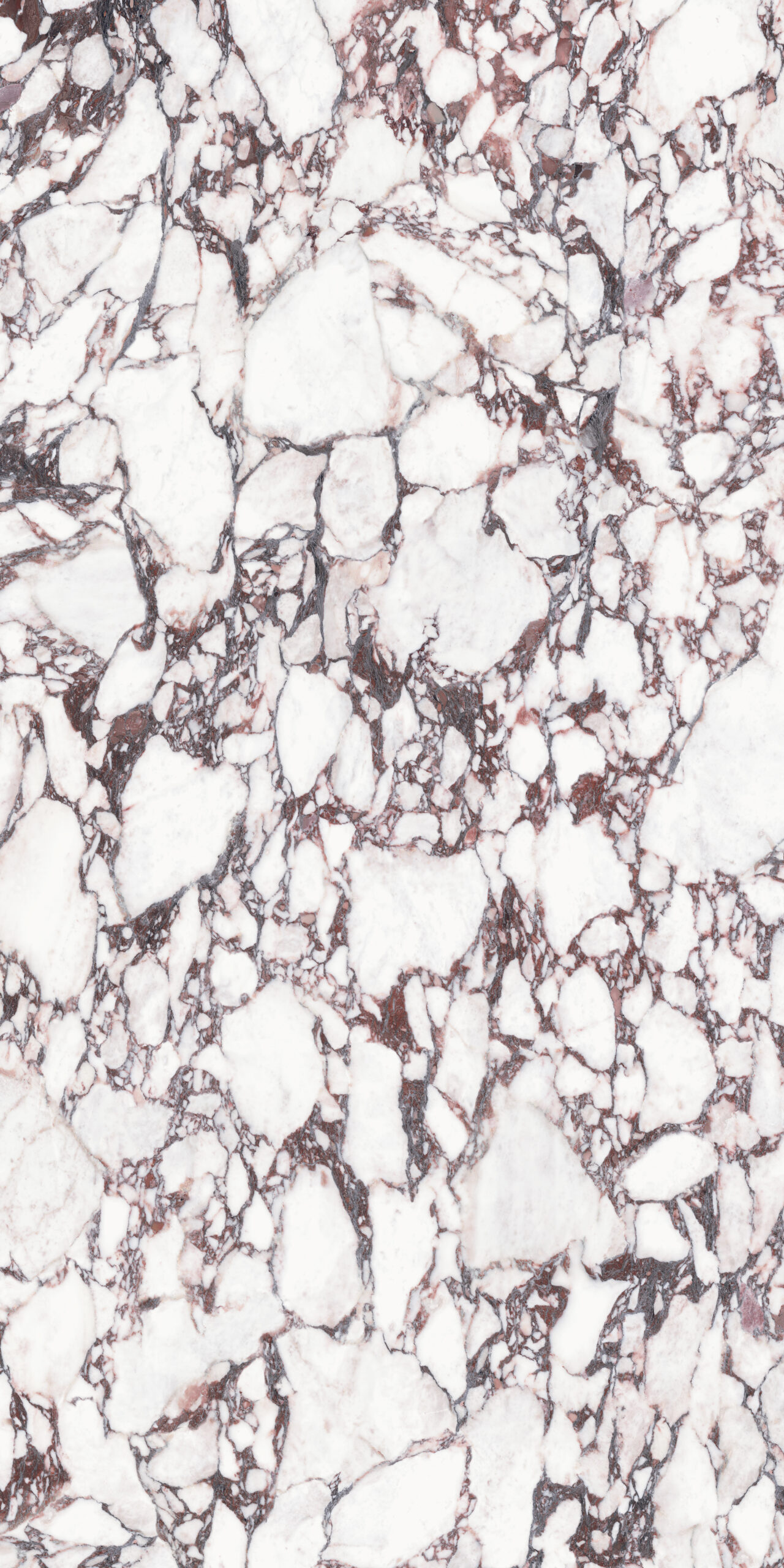 Calacatta Viola-minimale-dx
