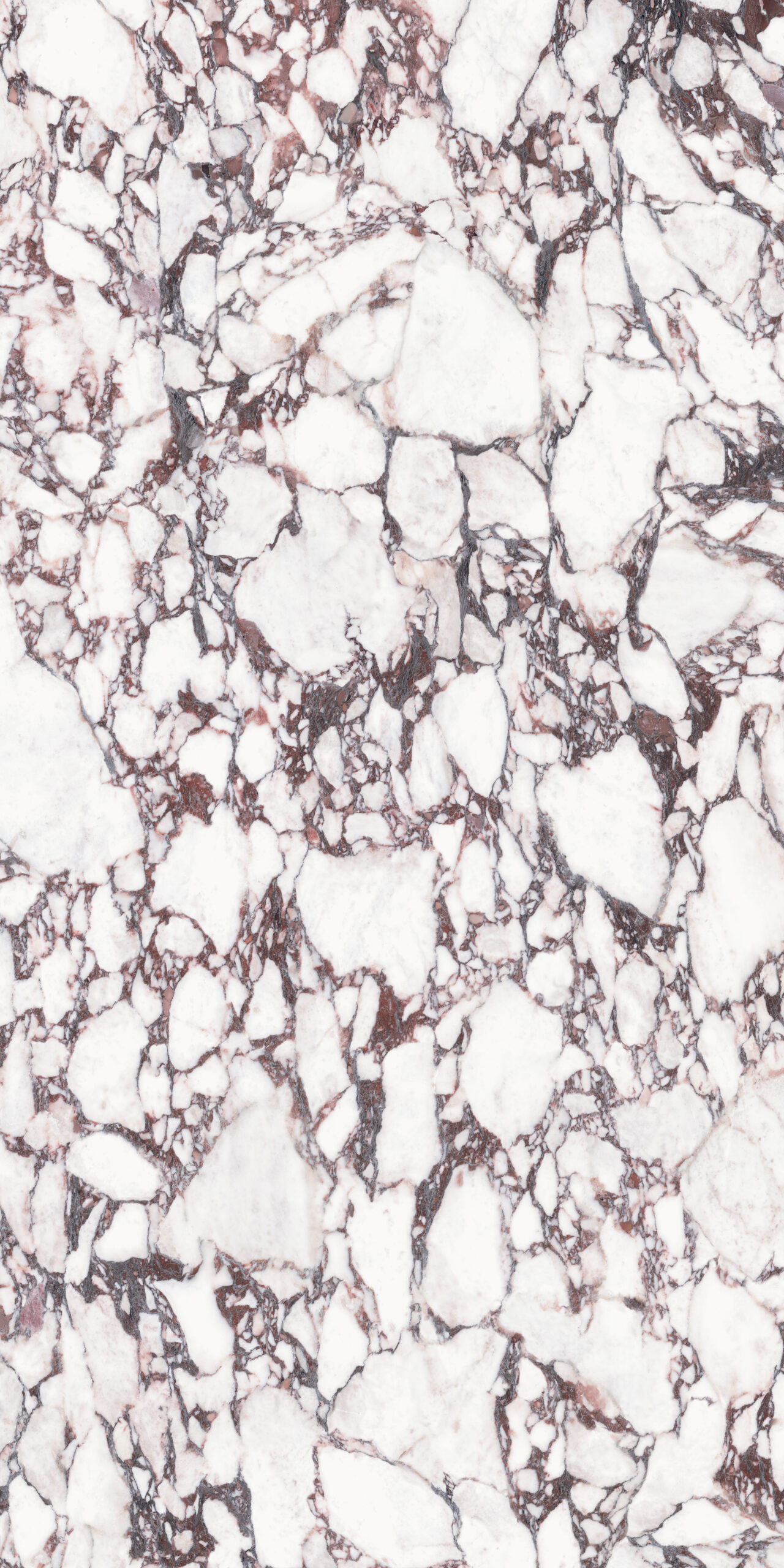 Calacatta Viola-minimale-dx