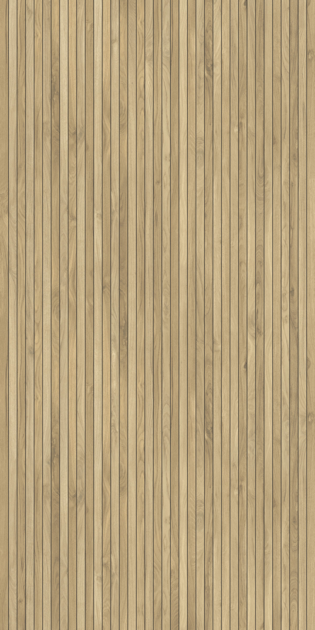 Nordika-minimale-dx