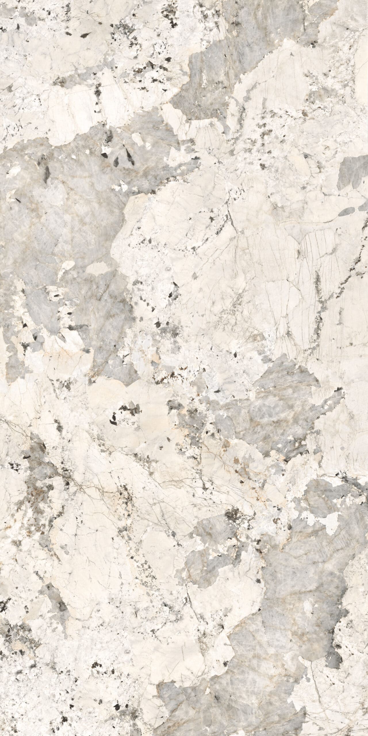 Noble Patagonia-minimale-dx